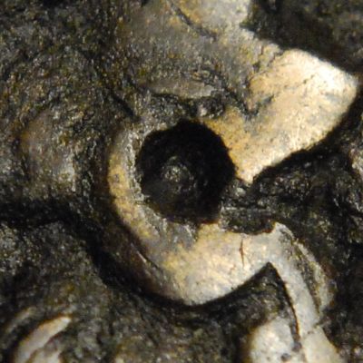 Ptolemaic-Bronzes---Central-Depression